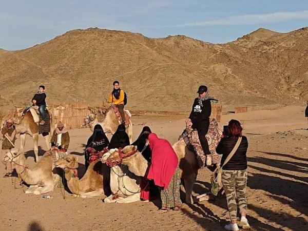 camel-ride