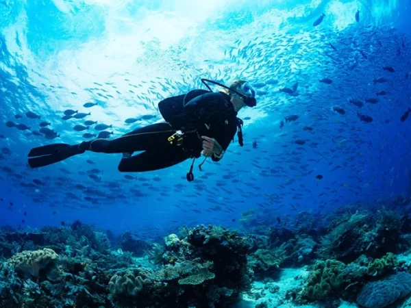 diver-101-scaled-1-q9czvcqvxozbqb9evosk0p4kmbvk3zhmb8rbll19ps